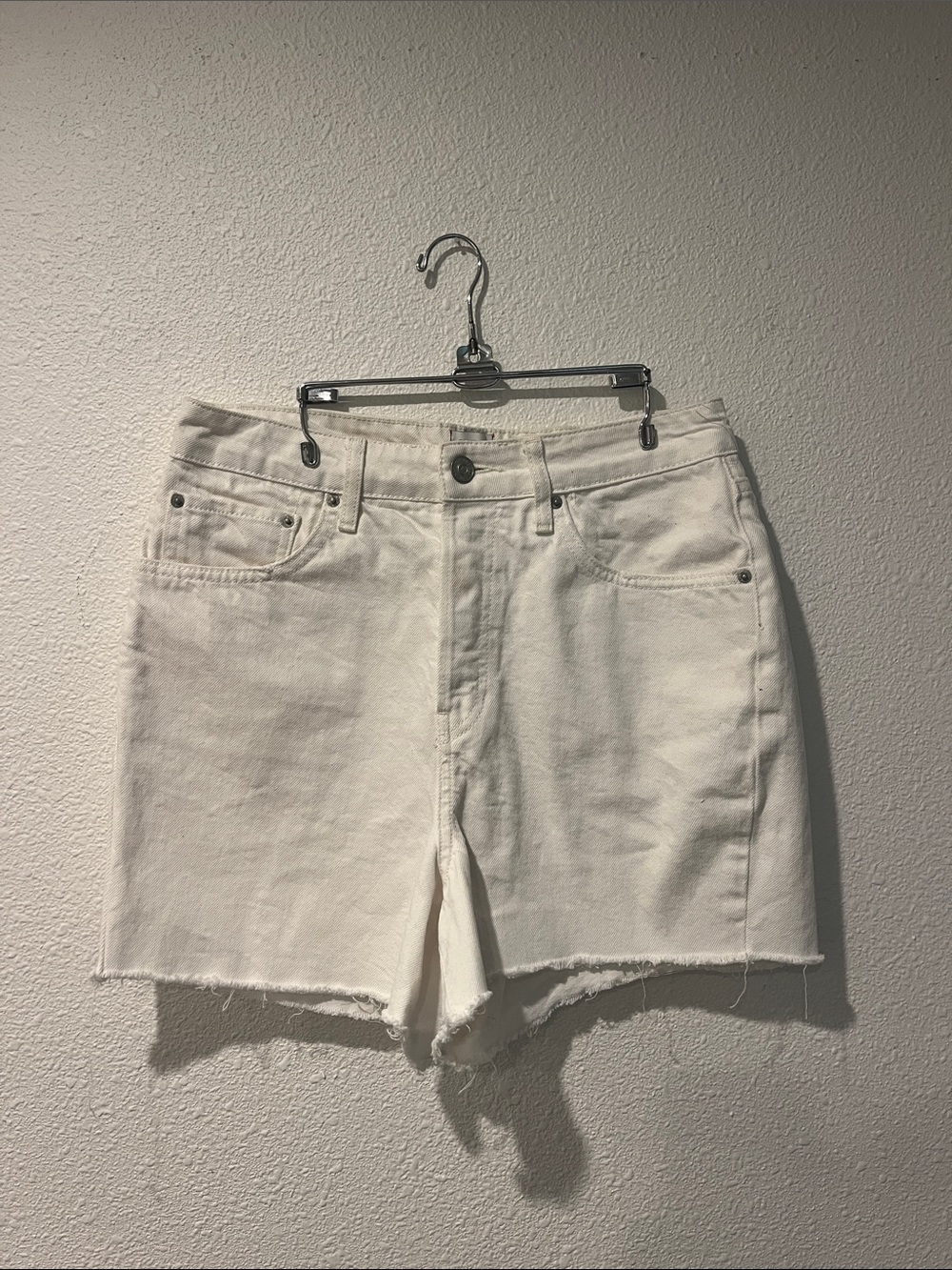 BDG 90’s Long Inseam Short